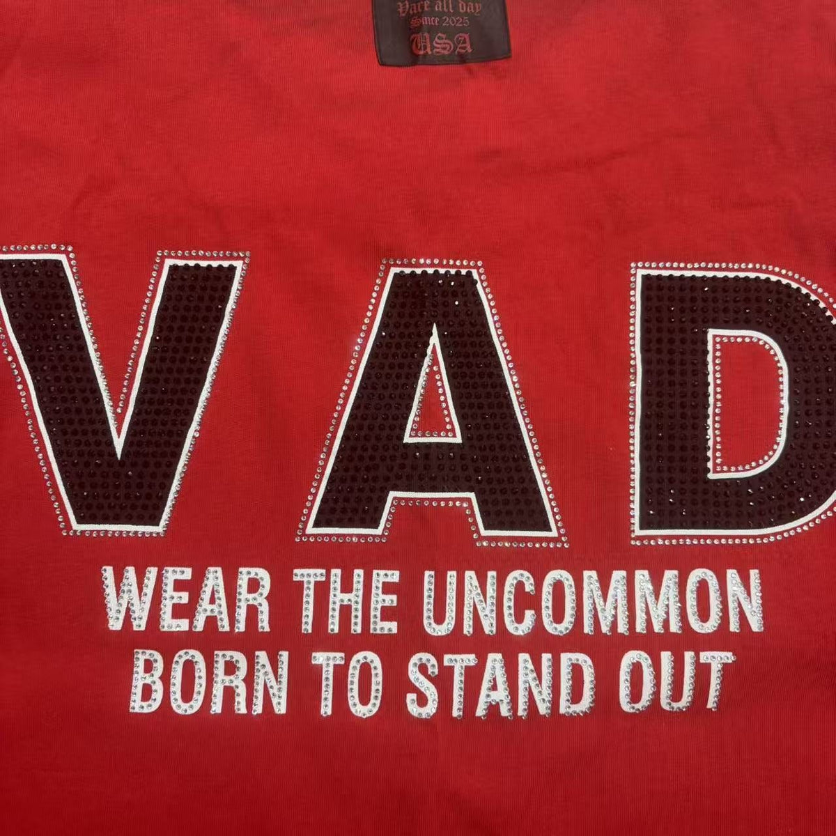 VARE ALL DAY Red Color Block Graphic T-Shirt — detail