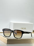 Dior CD lcon S4F Sunglasses