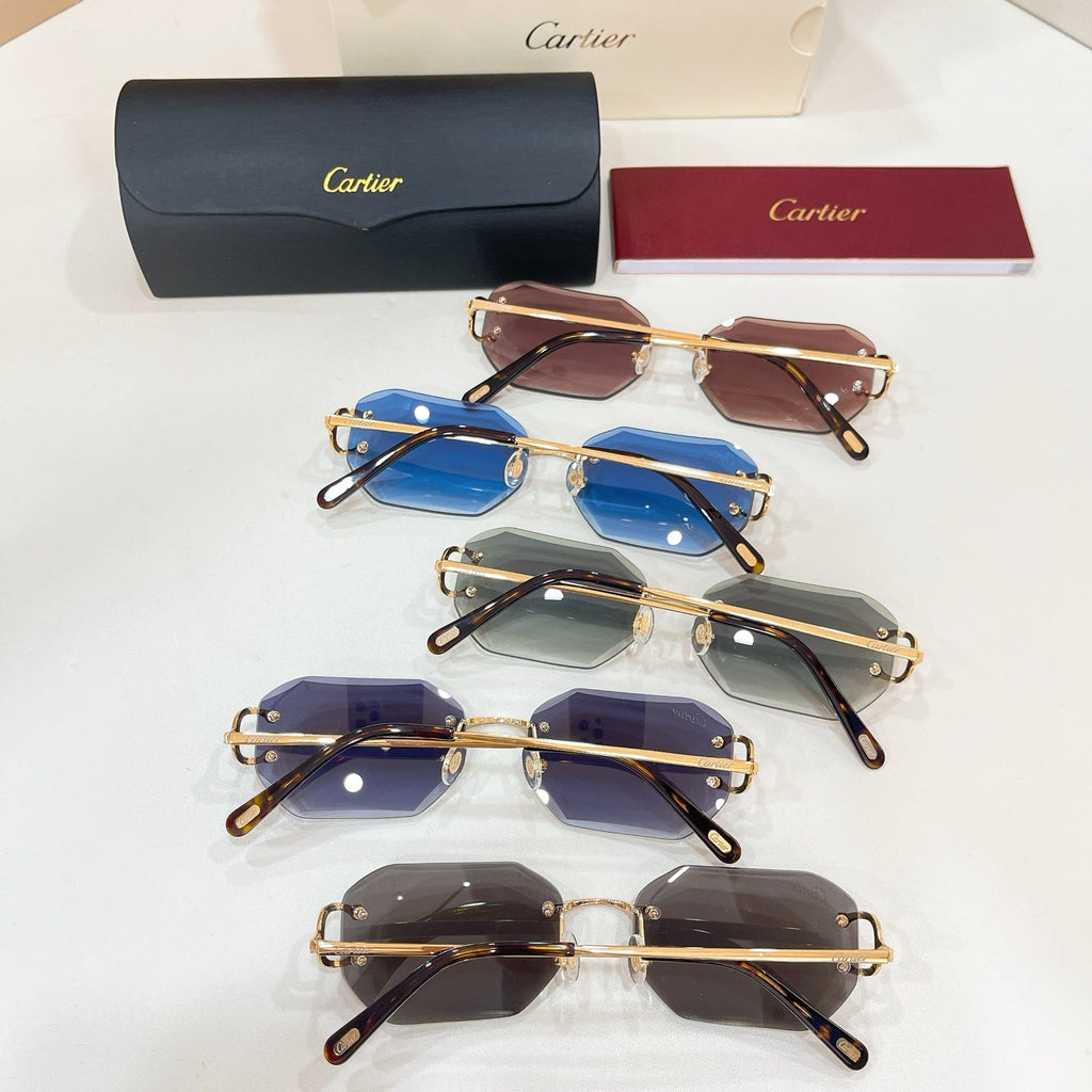 Cartier CT0092O Eyeglass Frames