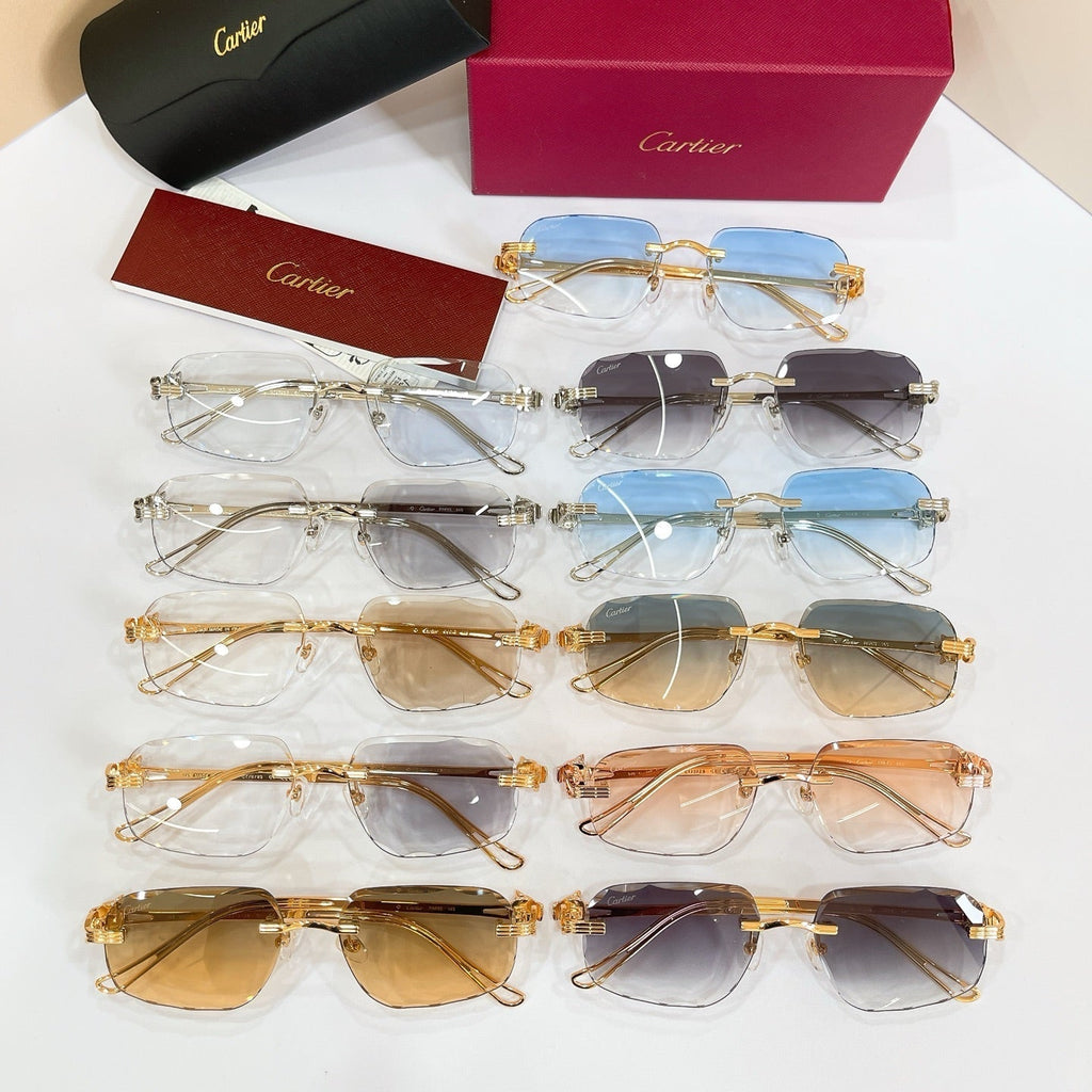 Cartier CT7072S Sunglasses