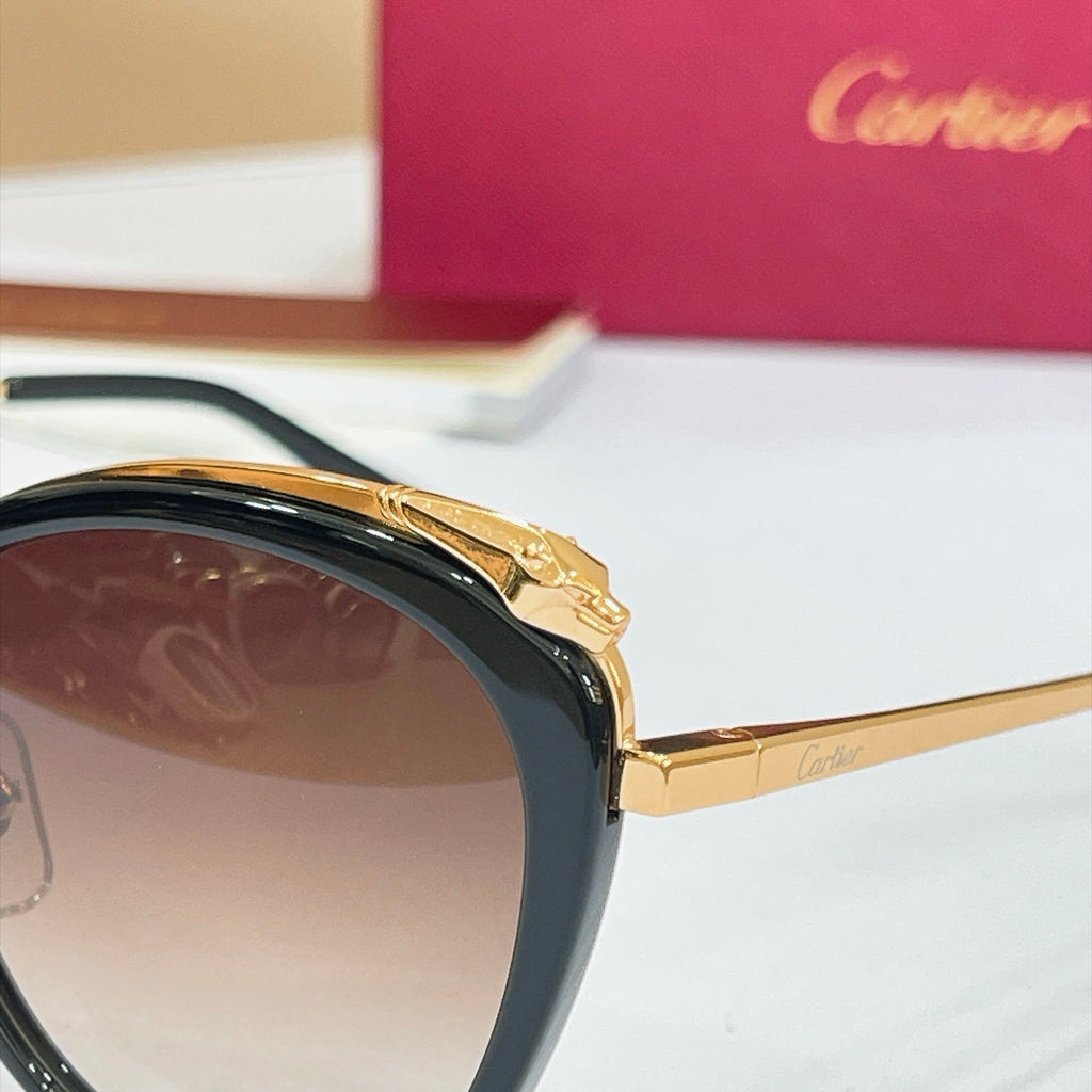 Cartier CT0150SA Sunglasses