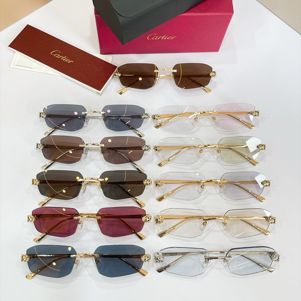 Cartier CT0474S Sunglasses