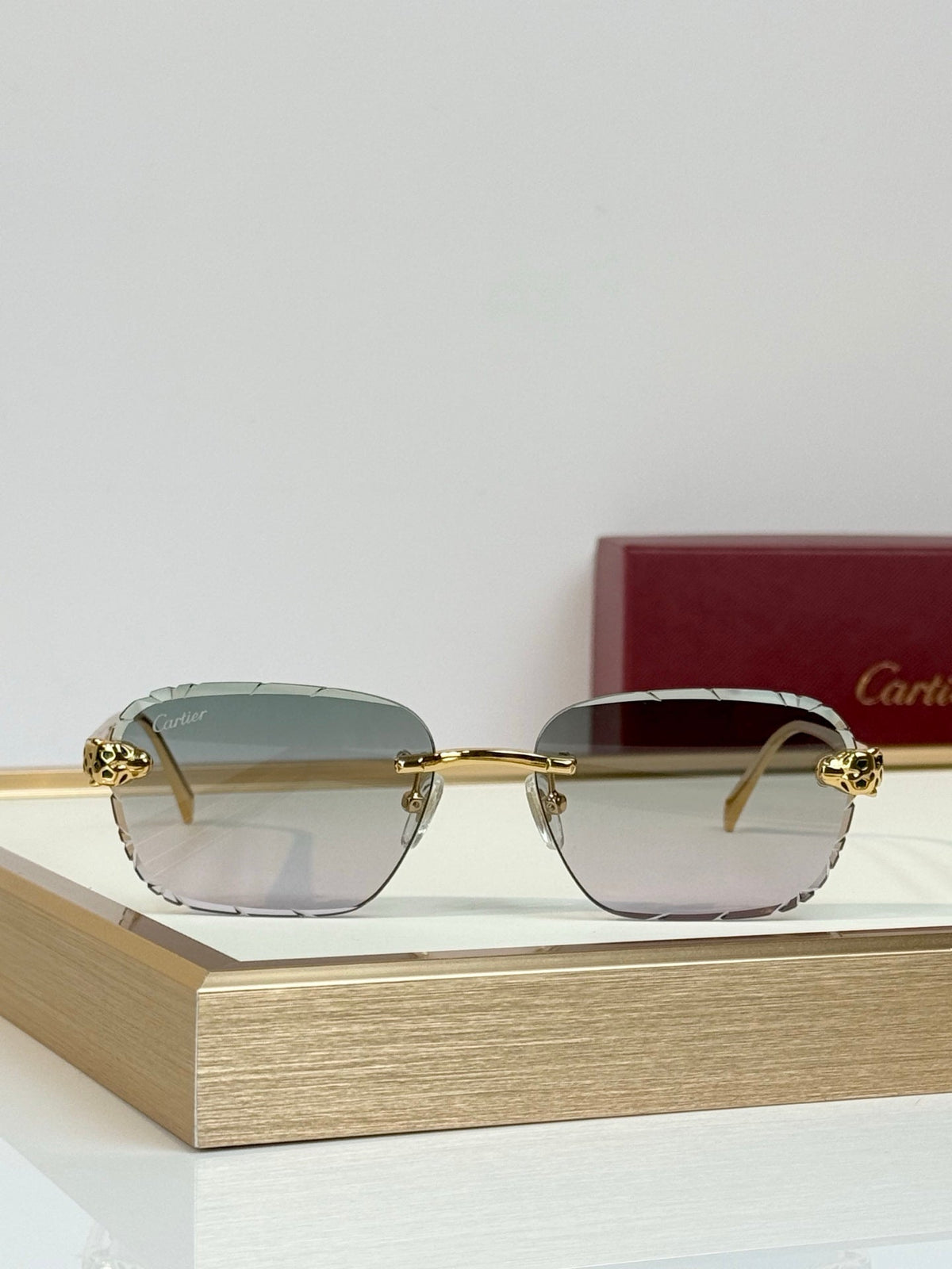 Cartier CT7450S Sunglasses