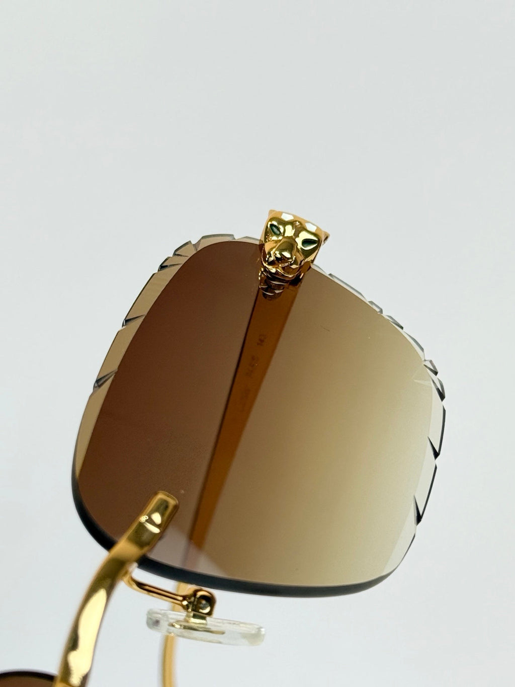 Cartier CT7450S Sunglasses
