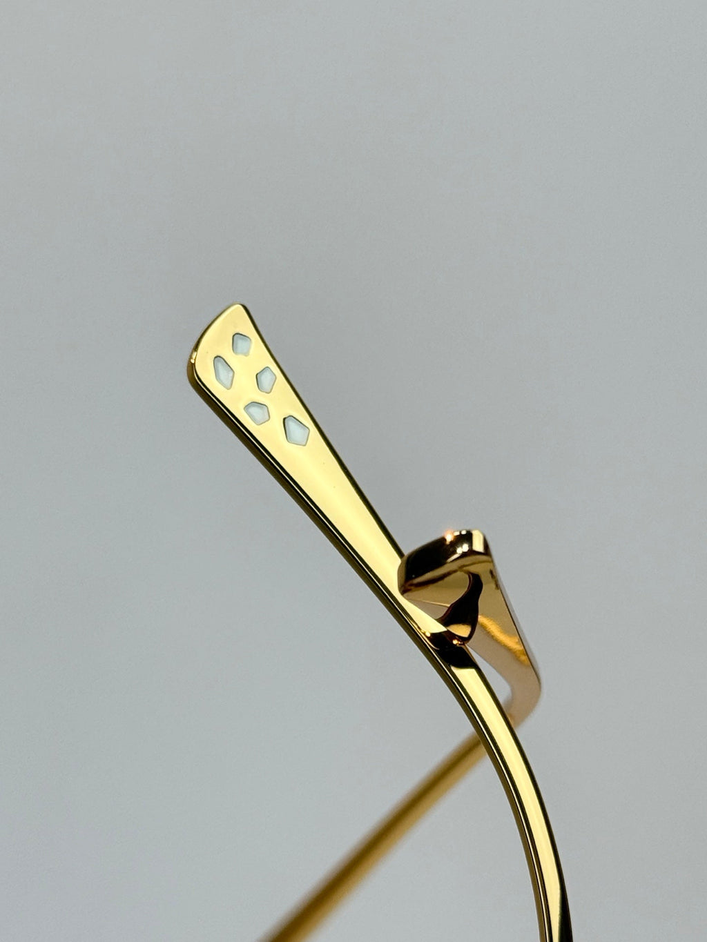 Cartier CT7450S Sunglasses
